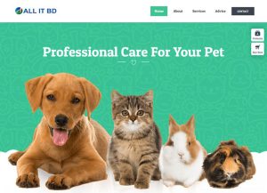 Pet Demo Design Style 9 & 10