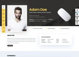 Portfolio (CV) Demo 8
