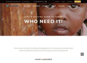 Nonprofit / Fundraising- seventeen