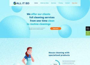 Cleaning Style Demo 1