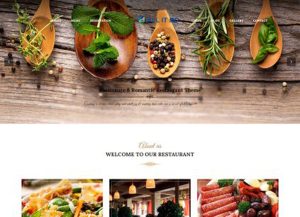 Restauran Style Demo- Twenty Five